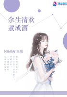 余生清欢煮成酒封面