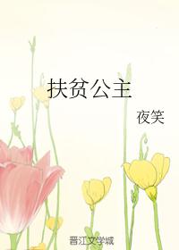扶贫公主2封面