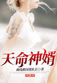 天命神婿封面