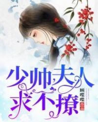 少帅,夫人求不撩封面