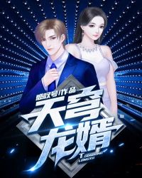 天穹龙婿封面