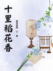 十里稻花香封面