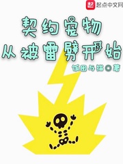契约宠物从被雷劈开始封面