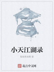 小天江湖录封面