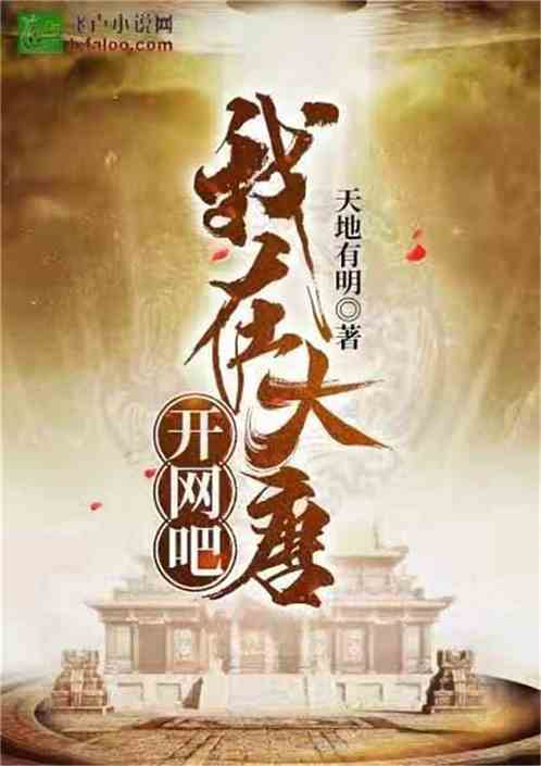 我在大唐开网吧封面