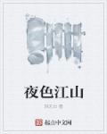 夜色江山封面