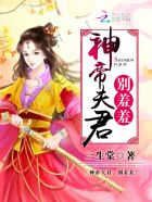 神帝夫君，别羞羞！封面