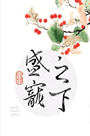 盛宠之下封面