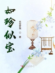 如珍似宝封面