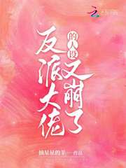 反派大佬的人设又崩了封面