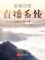 捡到一个直播系统封面