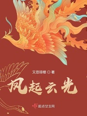 凤起云澜封面