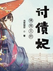 镇南王的讨债妃封面