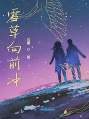 雪草向前冲封面