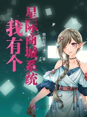 我有个星际商城系统封面