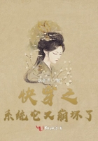 快穿之系统它又崩坏了封面