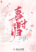 喜时归封面