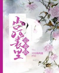 山河表里追妻路封面