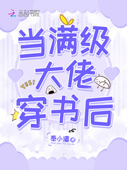 当满级大佬穿书后封面