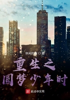 重生之圆梦少年时封面