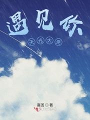 遇见你天光大亮封面