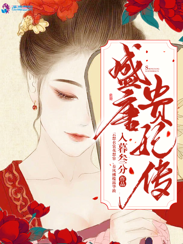 盛唐贵妃传封面