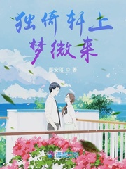独倚轩上梦微来封面