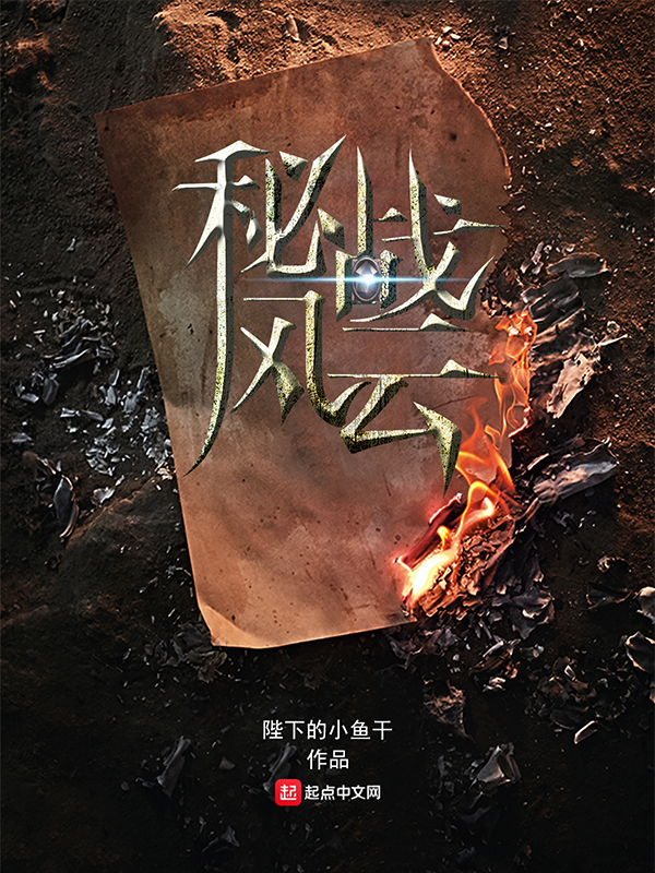 秘战风云封面