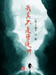 我真不是孽徒啊封面