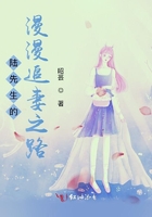 陆先生的漫漫追妻之路封面