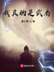 我真的是武者封面