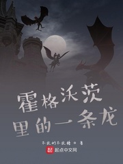 霍格沃茨里的一条龙封面