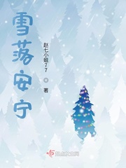 雪落安宁封面