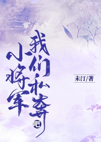 小将军，我们私奔吧封面