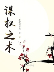 谋权之术封面