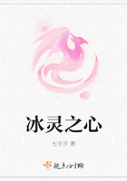 冰灵之心封面