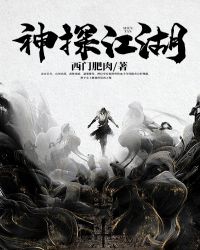 神探江湖封面