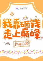 我靠砸钱走上巅峰封面