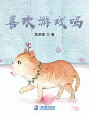 喜欢游戏吗封面