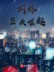 网络巨头崛起封面