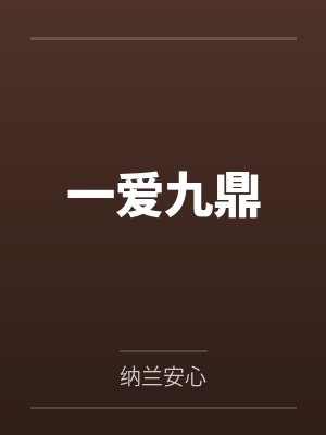 一爱九鼎封面