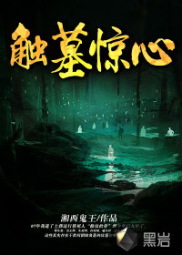触墓惊心小说封面