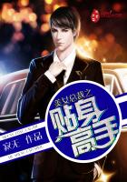 美女总裁之贴身高手封面