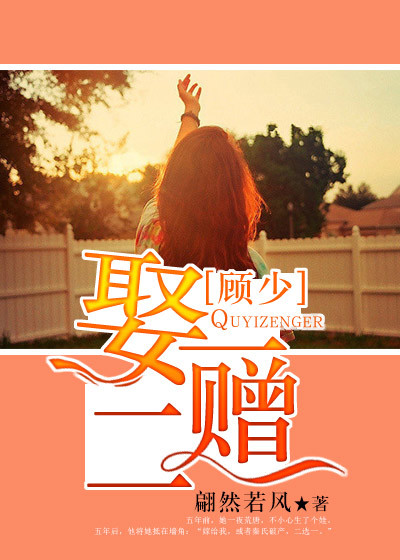 顾少,娶一赠二封面