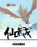 仙武戒封面