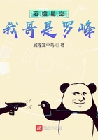 吞噬星空：我哥是罗峰封面