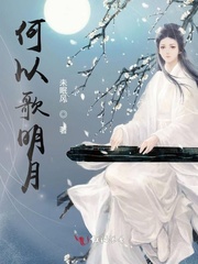 何以歌明月封面