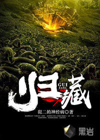 归藏(阴阳童子)封面