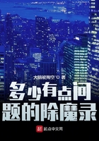 多少有点问题的除魔录封面