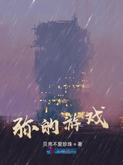 弥的游戏封面